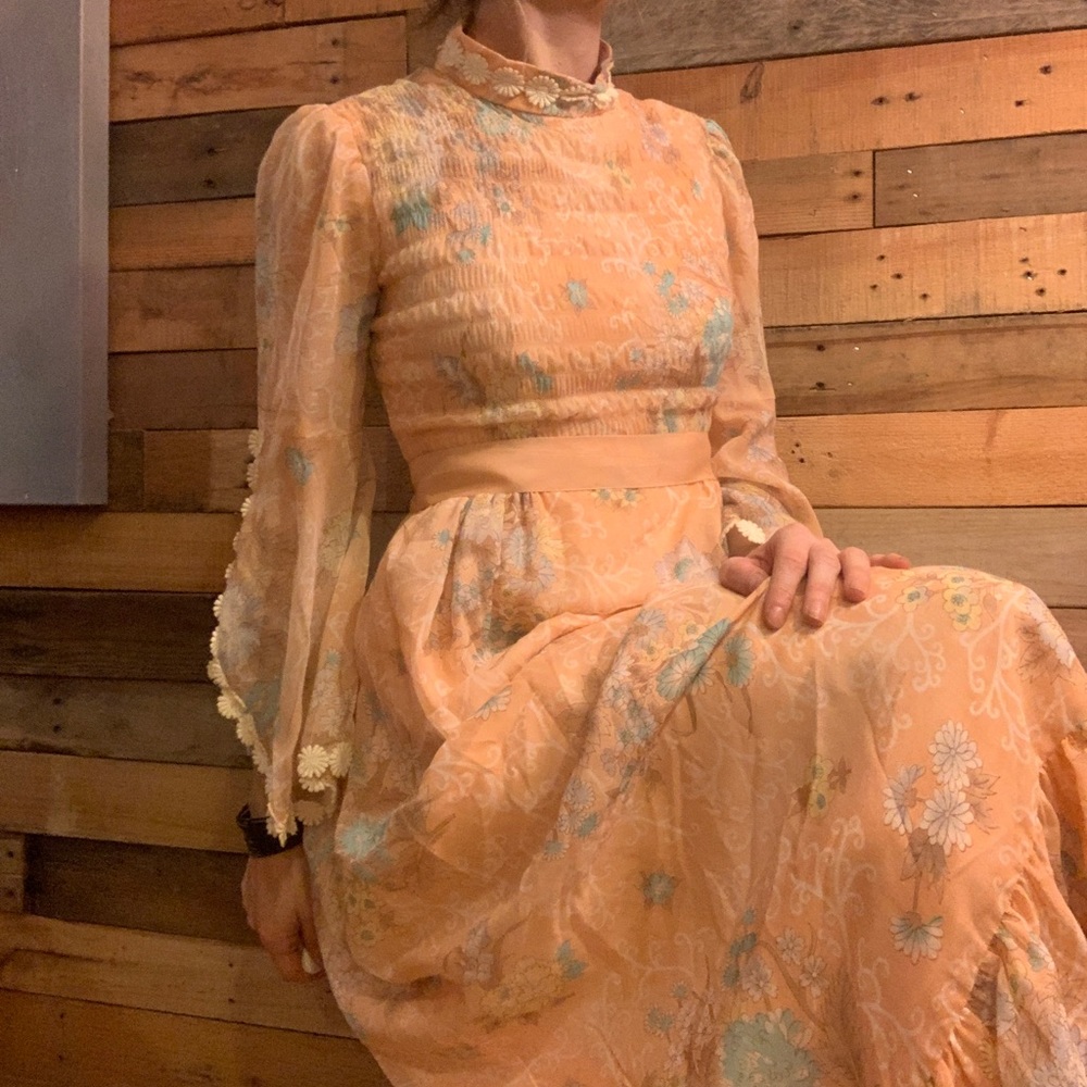 ✖️Vintage Daisy 70s Dress Longsleeve - Picture 8 of 13
